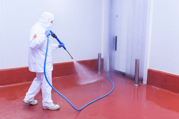Defuniak Springs, FL Pressure Washing Services Company