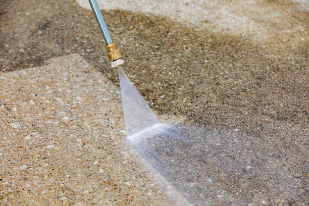 Animal Enclosure Cleaning in Defuniak Springs, FL